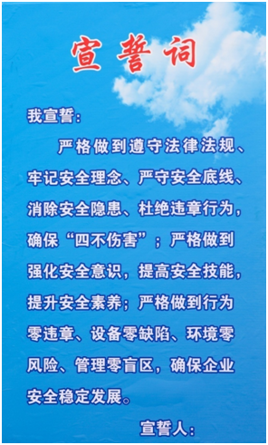 香港猛虎报